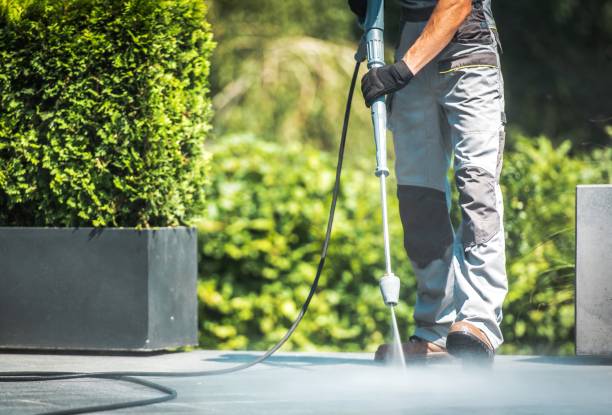 Best Driveway Pressure Washing  in South Charleston, WV